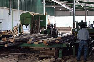 Trabajando la Madera