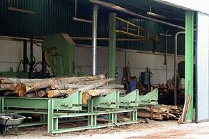 Trabajando la Madera