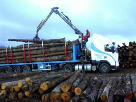Transporte de Maderas